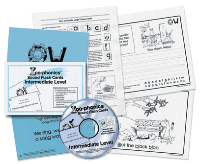 5-in-1 Language Arts Resource Activity Package